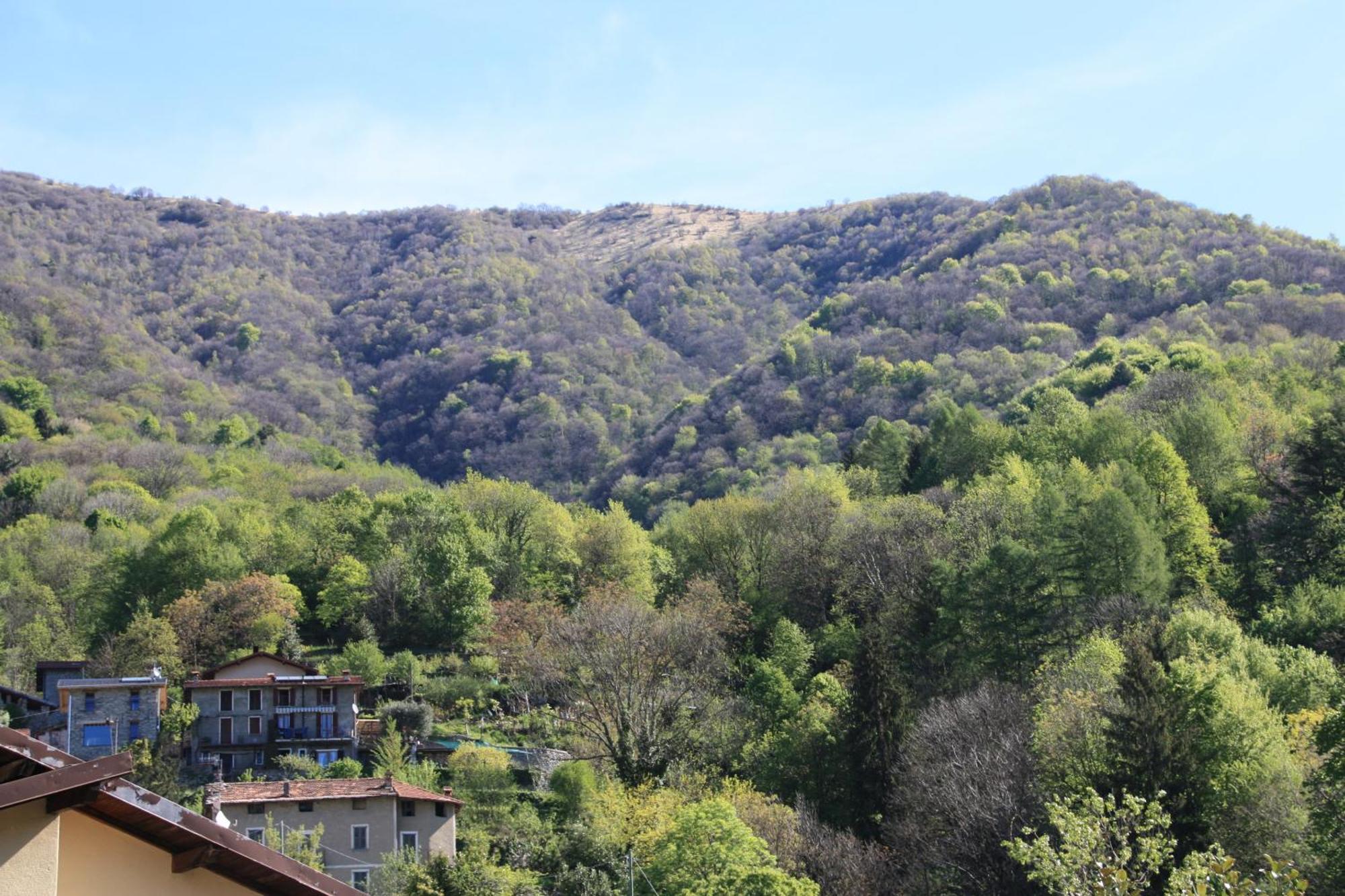 B&B Le Magnolie Faggeto Lario Exterior photo